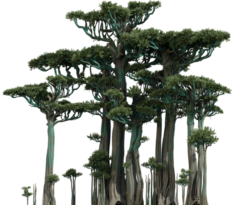 3d animation